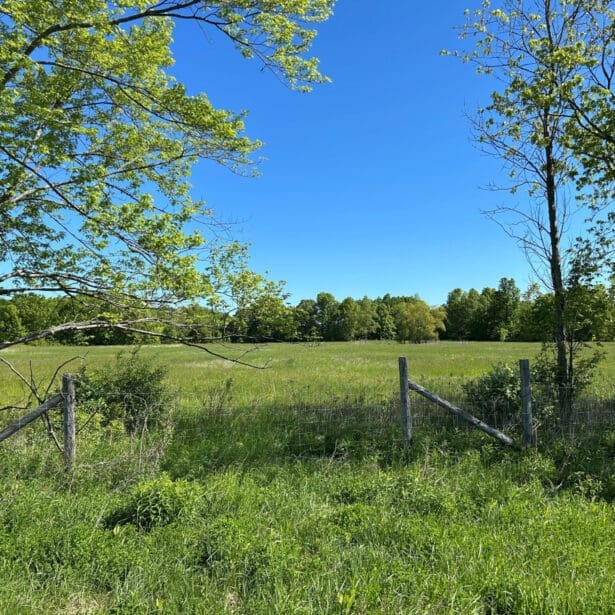 425 Webber Road