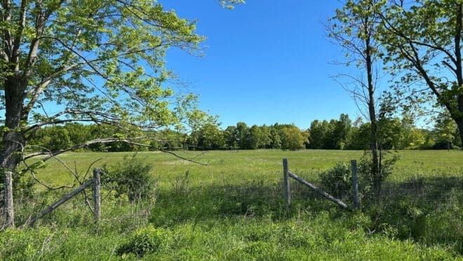 425 Webber Road
