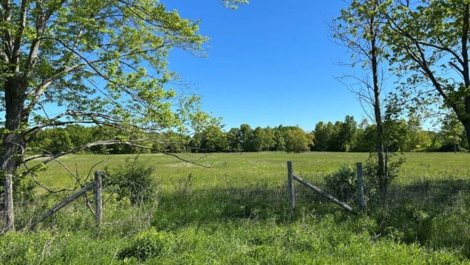 425 Webber Road